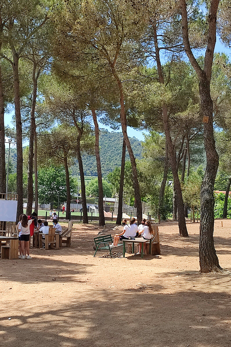 Natura, entorn Escola Montcau – La Mola Matadepera